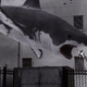 Illustration for article titled As the nation sifts through the aftermath of Sharknado, another Sharknado is brewing